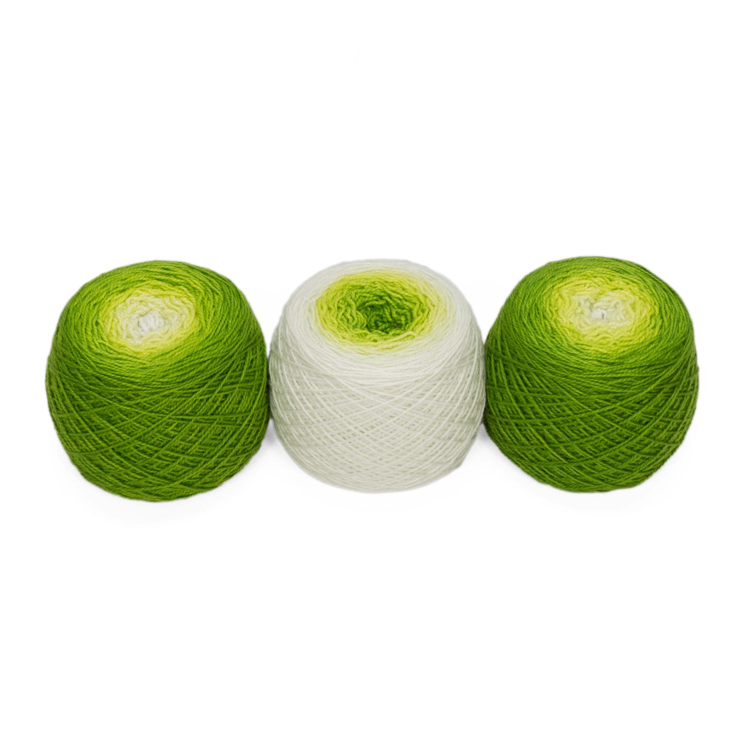 Full " Sprout " - Lleap SW Merino/Nylon Handpainted Gradient Fingering Weight Yarn 100g Skein