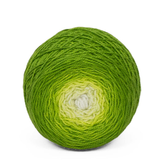 Full " Sprout " - Lleap SW Merino/Nylon Handpainted Gradient Fingering Weight Yarn 100g Skein