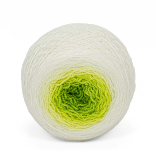 Full " Sprout " - Lleap SW Merino/Nylon Handpainted Gradient Fingering Weight Yarn 100g Skein