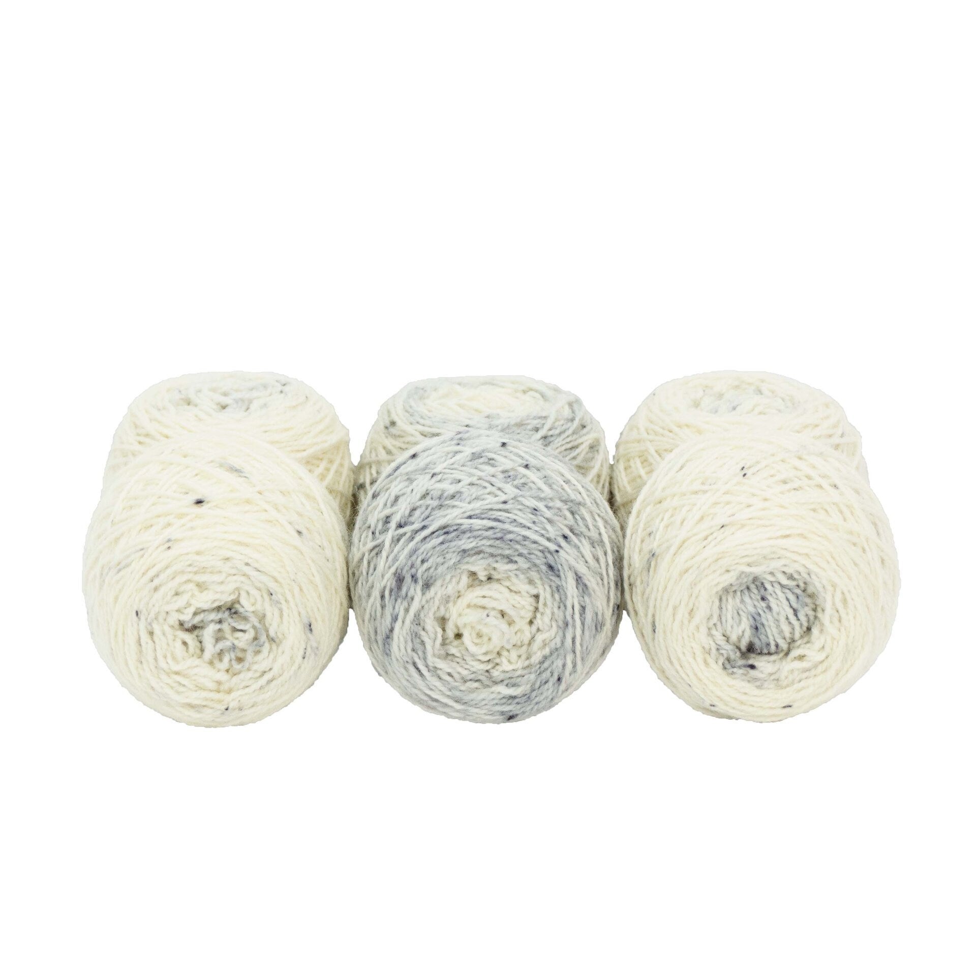 Fraternal Shorty Sock Twins " Crone " - Llark SW BFL/Nylon Speckle Gradient Sock Yarn Set