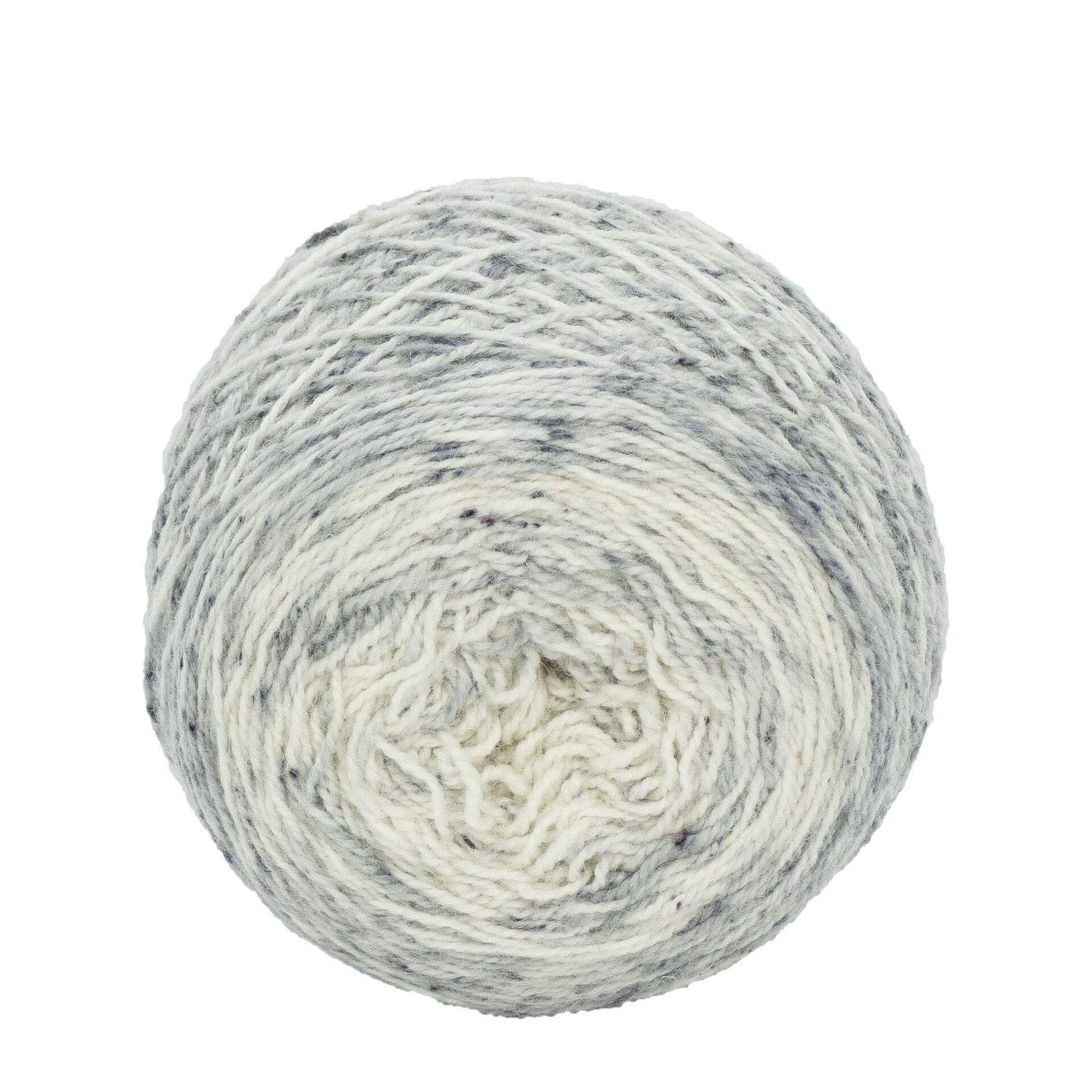 Full " Crone " - Llark SW BFL/Nylon Speckle Gradient Fingering Weight Yarn 100g Skein