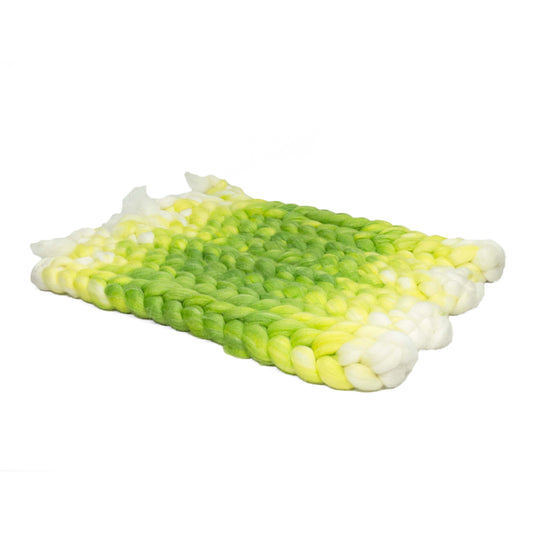 Sprout / Lleaf Handpainted SW Merino-Bamboo-Nylon Combed Top/ 4 oz.