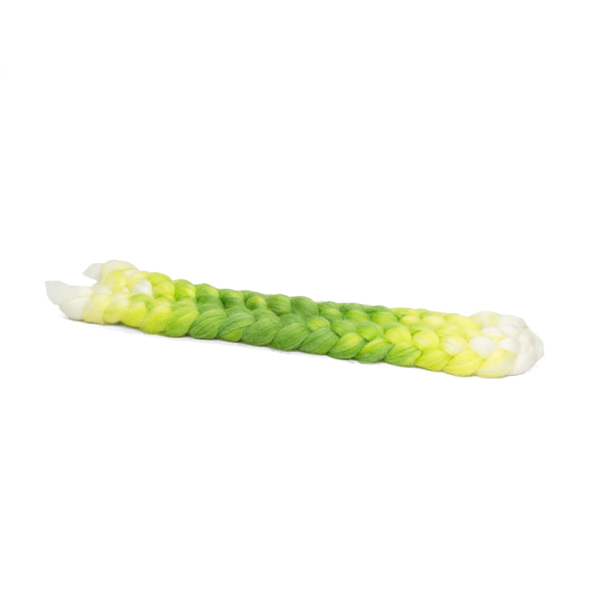 Sprout / Lleaf Handpainted SW Merino-Bamboo-Nylon Combed Top/ 4 oz.