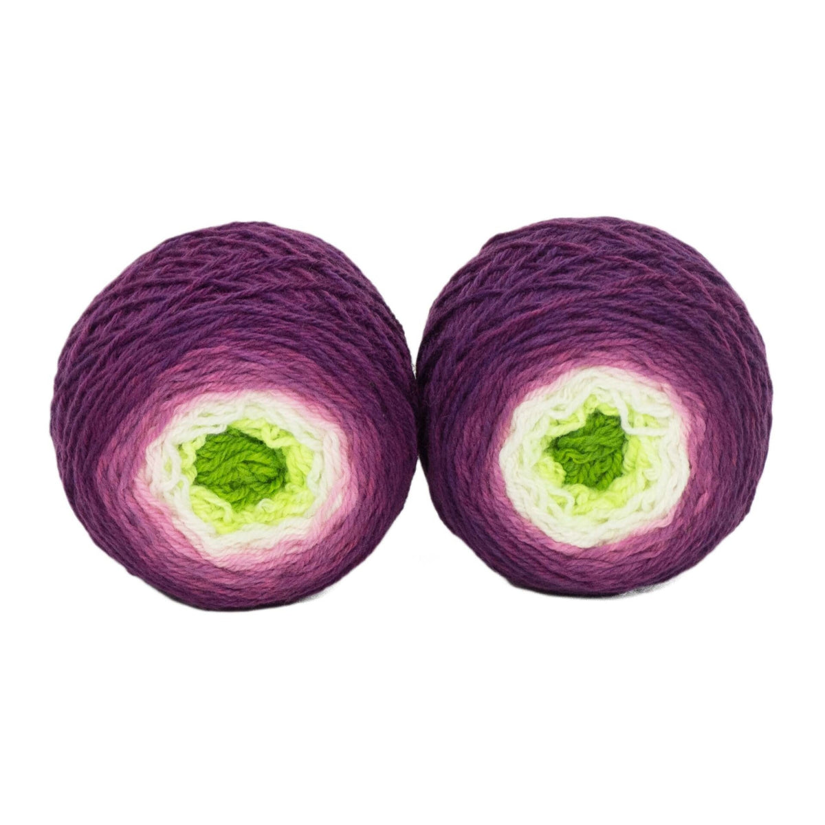 Fuchsia - Llively Sock Twins Handpainted Gradient Sock Yarn Set