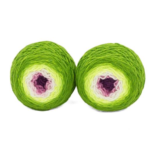 Fuchsia - Llively Sock Twins Handpainted Gradient Sock Yarn Set