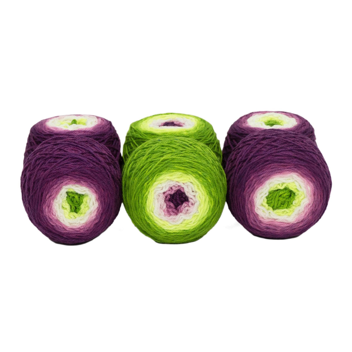 Fuchsia - Llively Sock Twins Handpainted Gradient Sock Yarn Set
