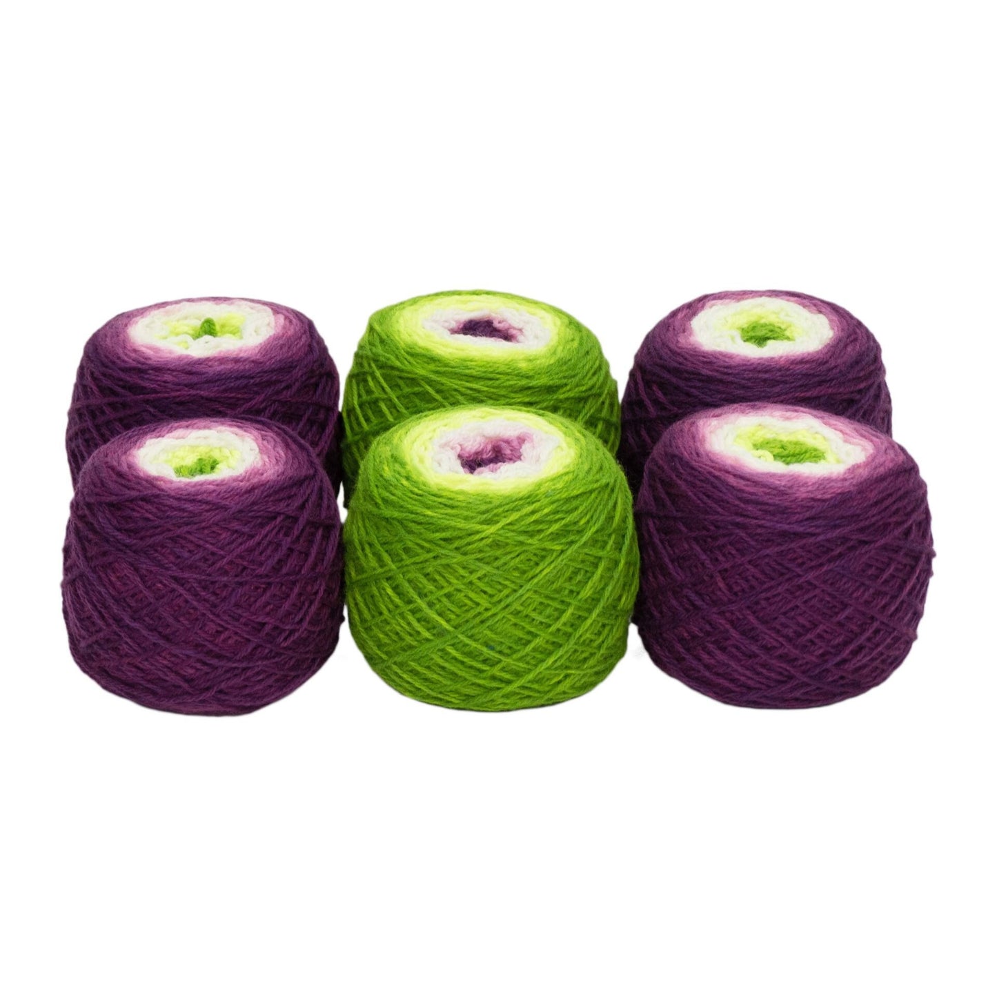 Fuchsia - Llively Sock Twins Handpainted Gradient Sock Yarn Set