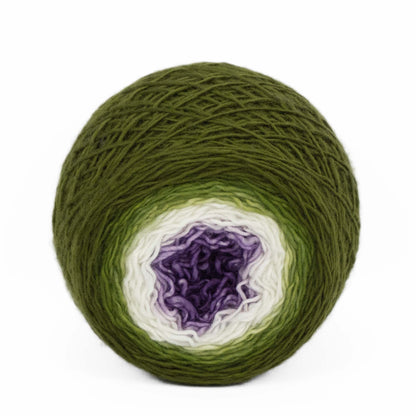 Full " Fruit Of The Vine " -Llift Handpainted Gradient Single Ply Fingering Weight Yarn