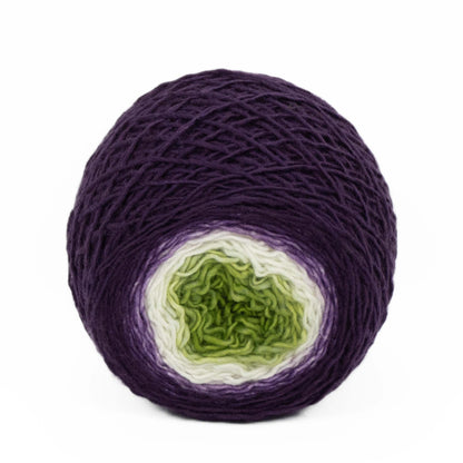 Full " Fruit Of The Vine " -Llift Handpainted Gradient Single Ply Fingering Weight Yarn