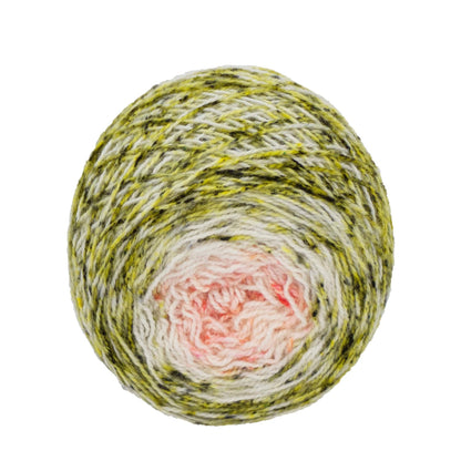 Full " Bromeliad Beauty " - Llark SW BFL/Nylon Speckle Gradient Fingering Weight Yarn 100g Skein