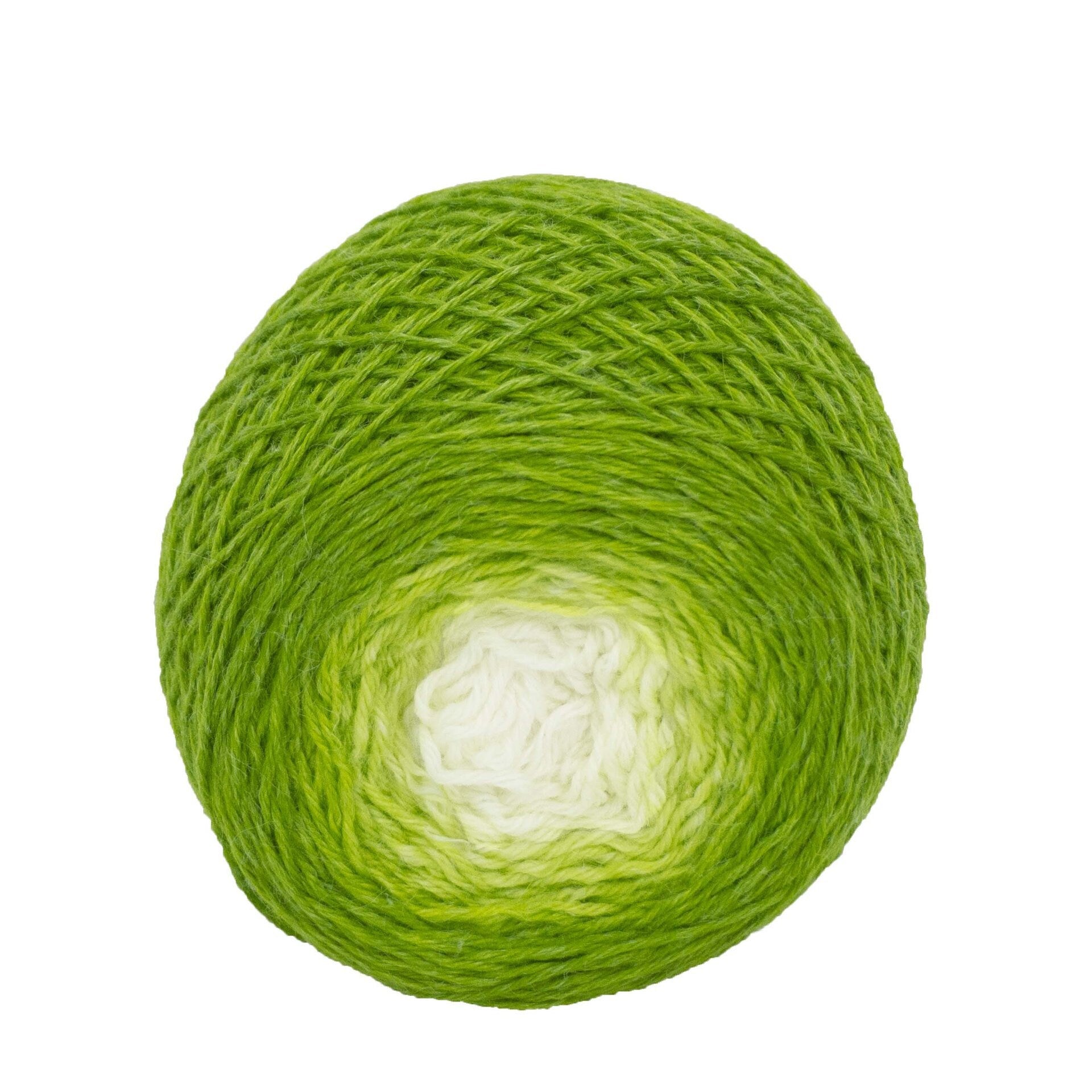 Full " Sprout " - Lleaf SW Merino/Bamboo/Nylon Handpainted Gradient Fingering Weight Yarn 100g Skein