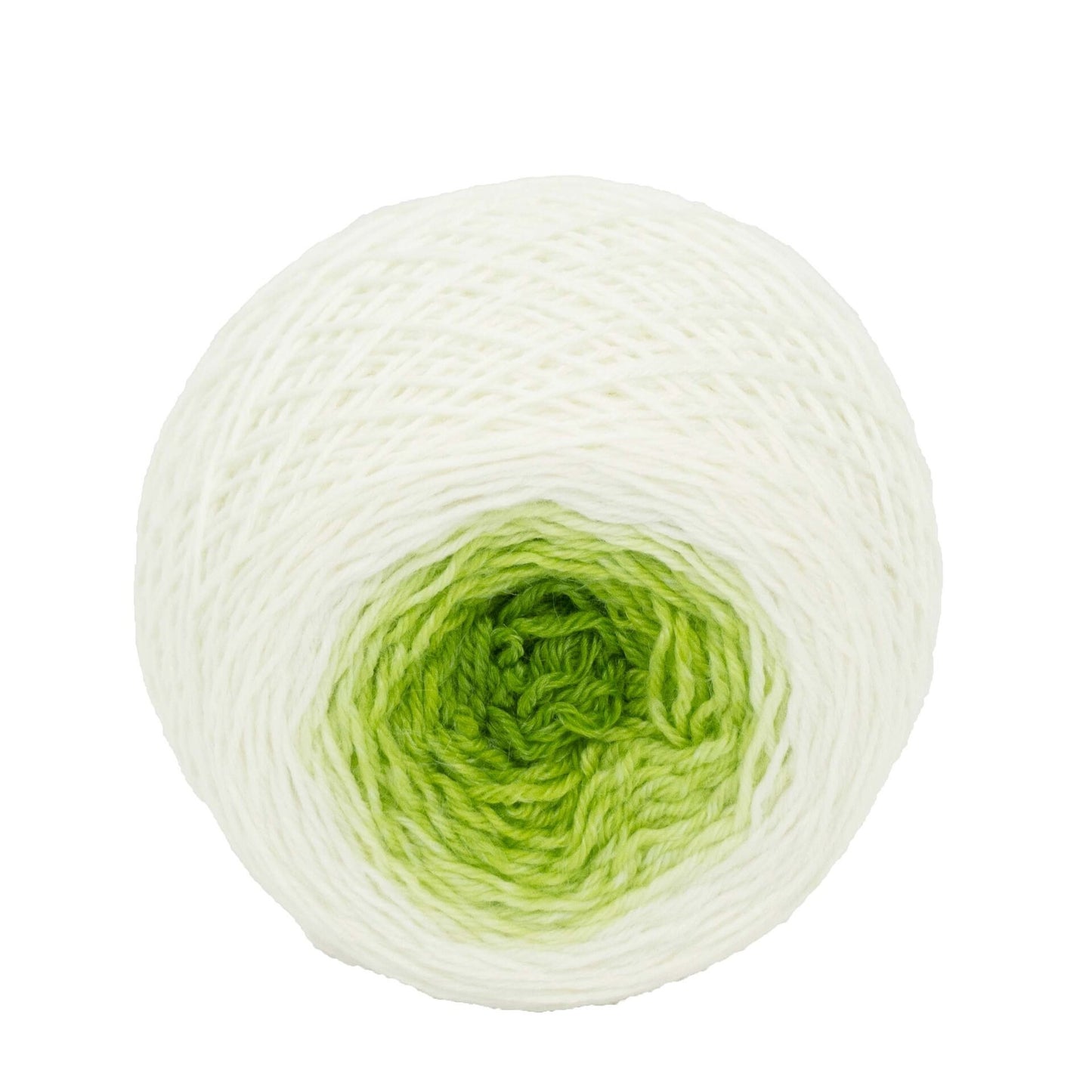 Full " Sprout " - Lleaf SW Merino/Bamboo/Nylon Handpainted Gradient Fingering Weight Yarn 100g Skein
